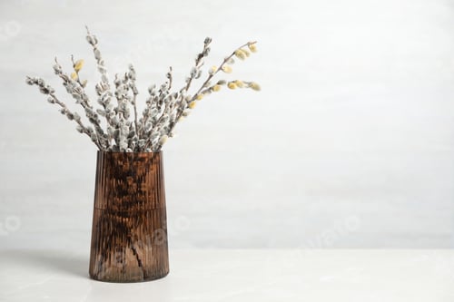 Preview: Beautiful pussy willow branches in glass vase on white table, space for text