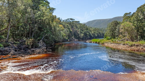 Preview: Grootrivier in South Africa's Garden Route