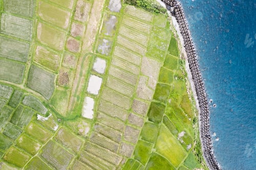Preview: Rice terraces and the Pacific Ocean