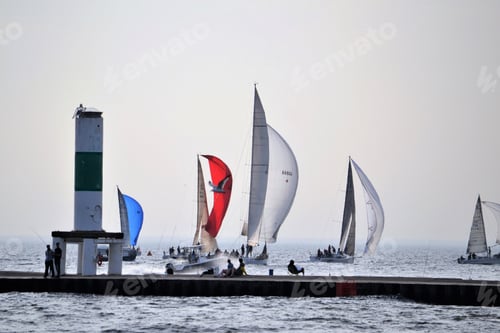 Preview: Ragatta sail boat racing water sport