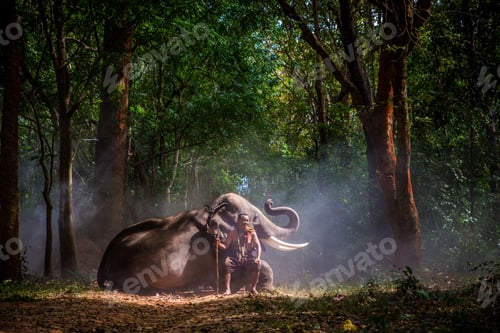 Preview: Elephant and buddist monchs in Thailand