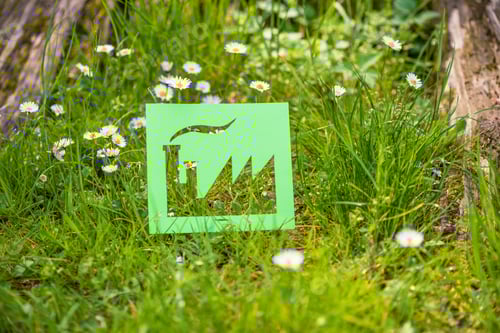 Preview: Eco friendly green living