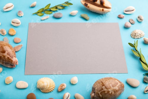 Preview: Composition with gray paper sheet, seashells, green boxwood. mockup on blue pastel background