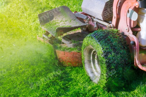 Preview: Close up of man worker cutting grass in summer with a professional gardener mowing lawn