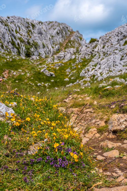 Preview: Ascent through San Adrian and return through the Oltza fields