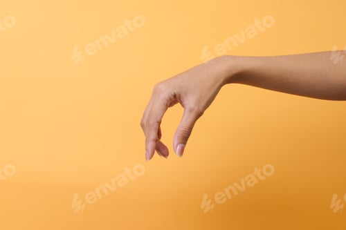 Preview: Woman Hand Gesture