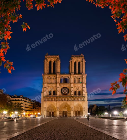 Preview: Notre Dame at night