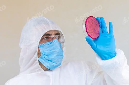 Preview: Examine bacteria in petri dishes in the laboratory. Selective focus.