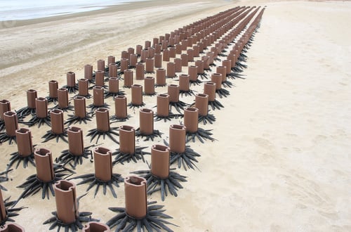 Preview: Artificial coral reefs on sea beaches protect against waves.