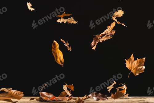 Preview: Autumn leaves falling with copy space on black background