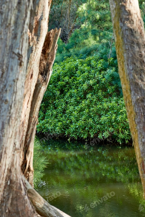 Preview: Small waterfalls and rivers in the jungle
