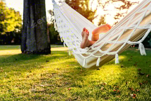 Preview: Relaxing in a Hammock at Golden Hour