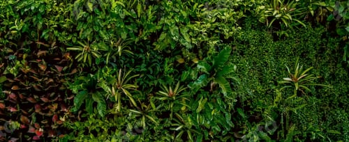 Preview: Nature green background, tropical leaf banner or floral forest concept.