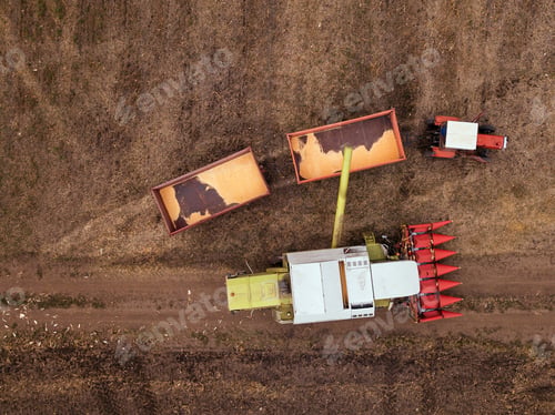 Preview: Aerial view of combine pouring harvested corn grains into traile