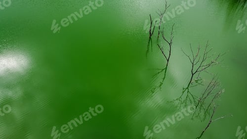 Preview: Abstract Nature Aerial View