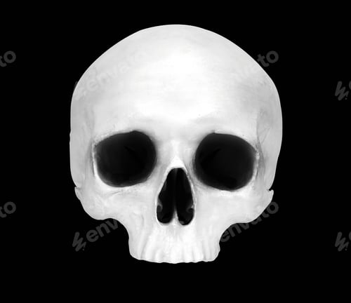 Preview: Front view of a fake skull