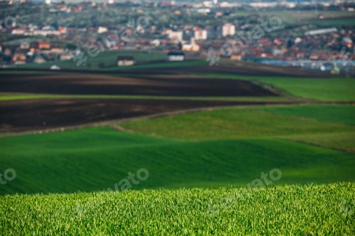 Preview: Rolling hills in spring