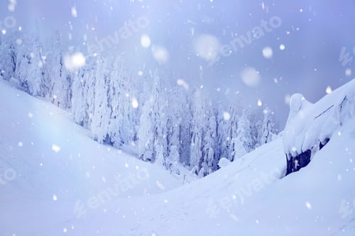 Preview: Christmas background with snowy fir trees.