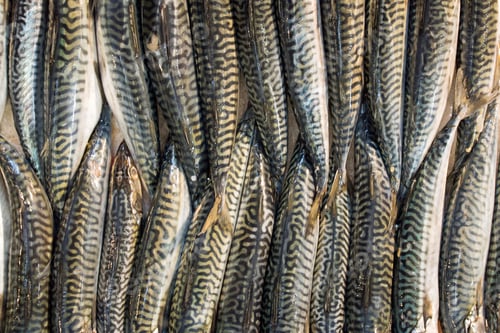 Preview: Fish on a market