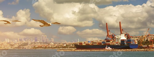 Preview: A large ship is loaded at this port. Sea transportation