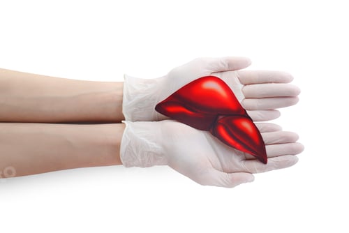 Preview: Doctor in gloves holding paper liver on white background, closeup and top view. Hepatitis treatment