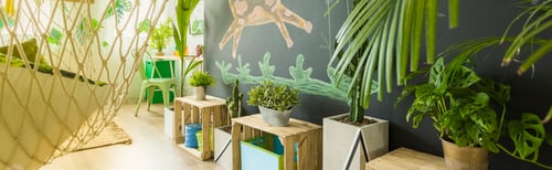Preview: Room with plants