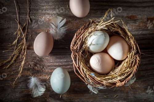 Preview: Eggs from free range. Ecological eggs from the countryside.