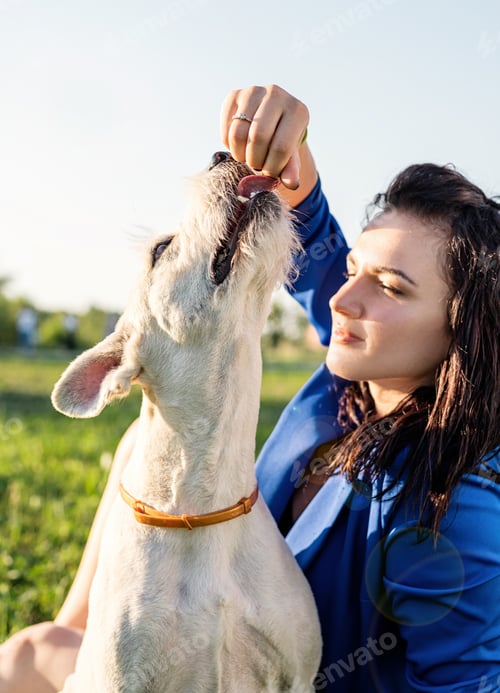 Preview: Young trendy woman in blue jacket feeding her dog in the park in sunny summer day