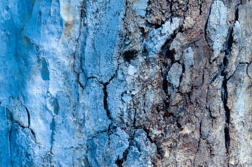 Preview: Abstract Texture Of The Old And Burst Wooden Bark For A Background Of Blue Color
