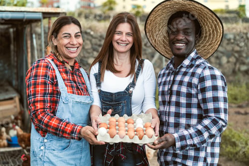 Preview: Happy farmers picking up fresh eggs in henhouse garden - Farm people lifestyle concept