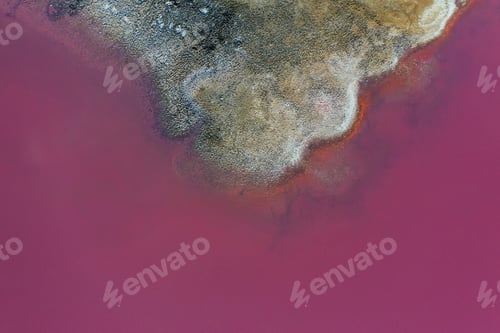 Preview: Coast with pink water. Aerial view of majestic landscapes of Jarilgach island in Ukraine