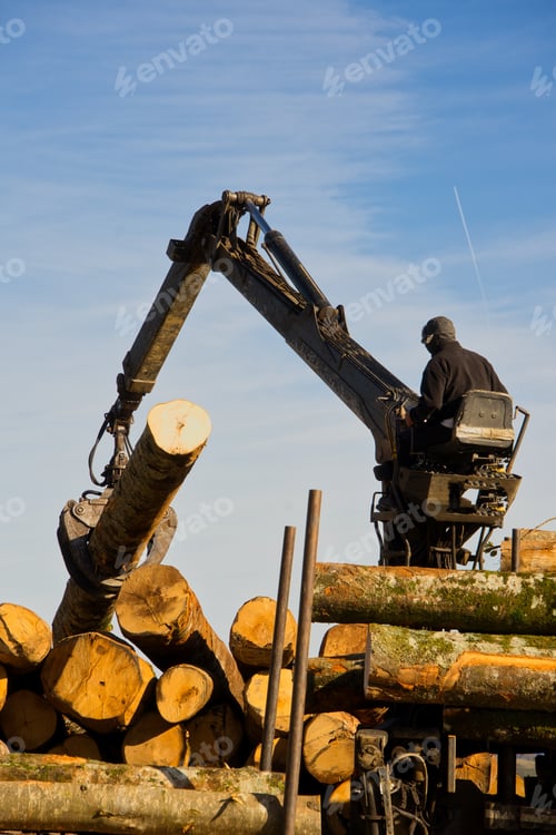 Preview: Man working on a truck in wood transportation