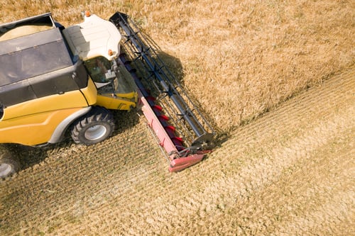 Preview: Aerial view of combine harvester harvesting large ripe wheat field. Agriculture from drone view.