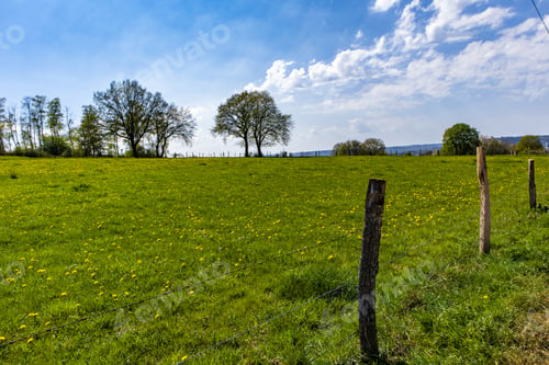 Preview: Vast green lawn in the park with few trees and a blue sky