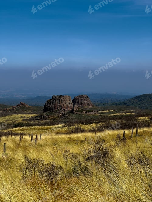 Preview: Mount Kenya Lake Ellis Kenya Landscapes Panoramic scenic Views Plants Vegtations