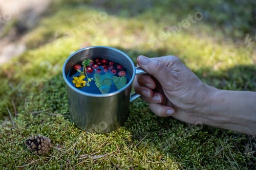 Preview: Unrecognizable hand with mug of green tea made from wild strawberries, mint leaves and St. John wort