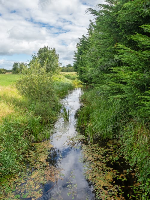 Preview: A Stream in Ireland