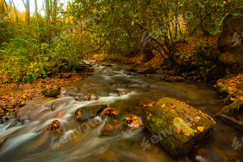 Preview: A Small River Flows In Autumn Near Mingus Mill In Smoky Mountains National Park
