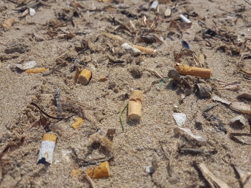 Preview: Closeup shot of used cigarettes on the sand in the beach - pollution concept