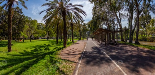 Preview: Yarkon Park during a vibrant sunny day. Taken in Tel Aviv, Israel