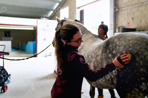 Preview: Equestrian Rider Saddling Up