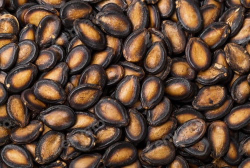 Preview: Black watermelon seed