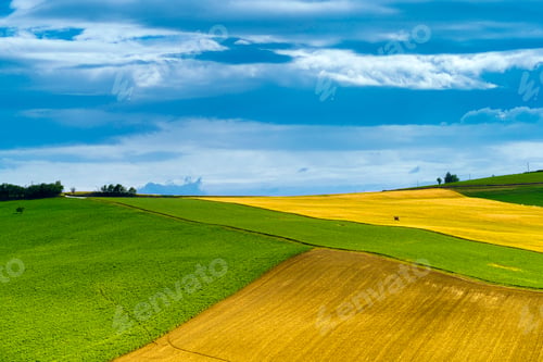 Preview: Rural landscape near Ostra Vetere and Cingoli, Marche, Italy