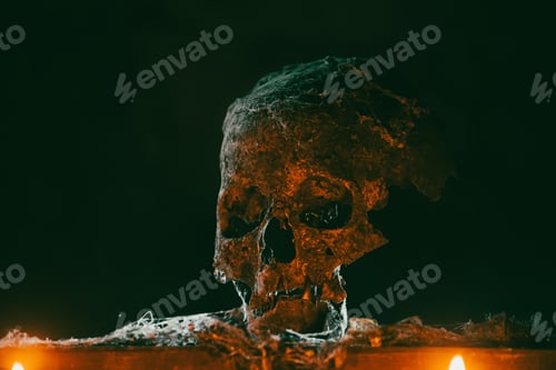 Preview: Scary grunge skull wallpaper. Halloween background.