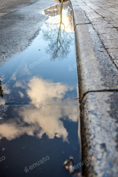 Preview: Low angle view of the sky and trees reflecting on the water on the road