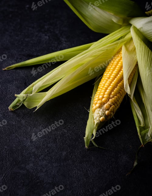 Preview: Raw ripe corn. Dark style