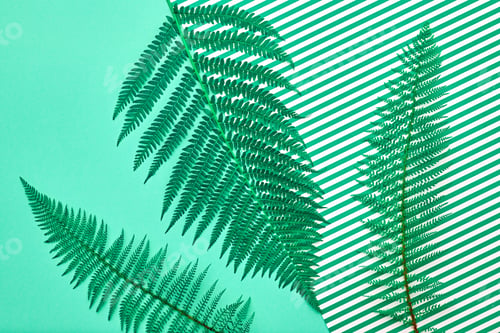 Preview: Spring
