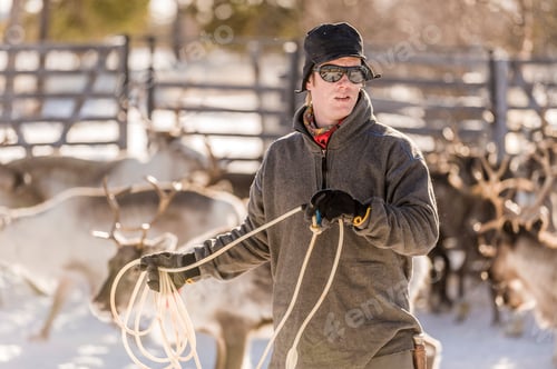 Preview: Man herding reindeer in snowy landscape.