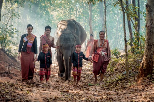 Preview: Elephant and farmers in Thailand