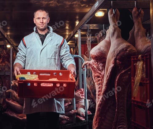 Preview: The butcher in a meat freezer.